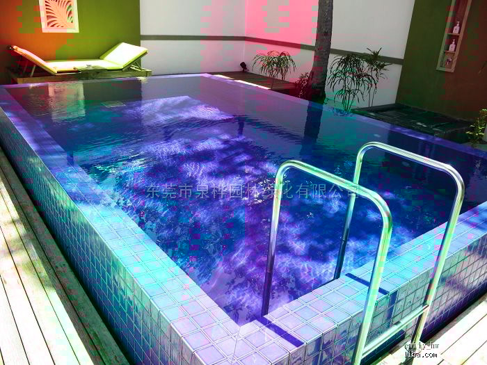 别墅花园游泳池