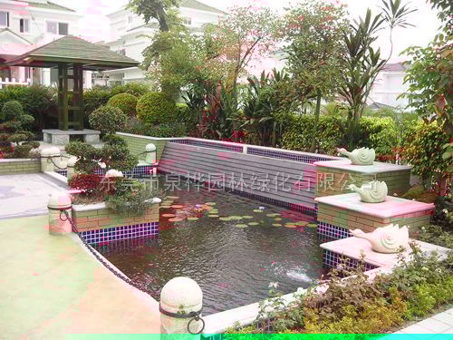 别墅花园-水池