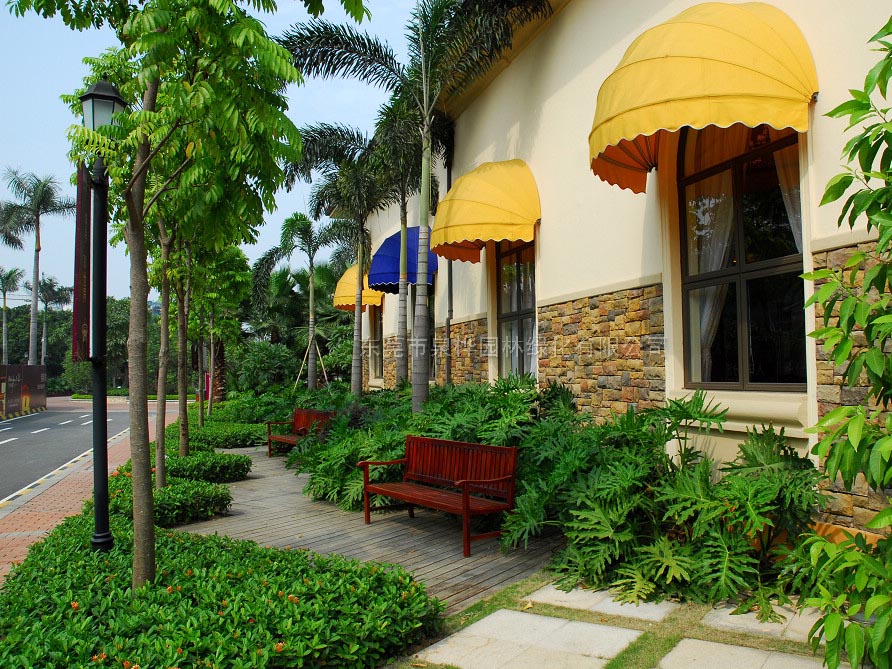 园林工程实景-午后阳光