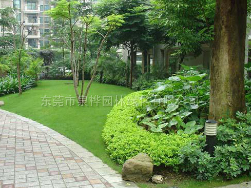 园林工程-小区绿化