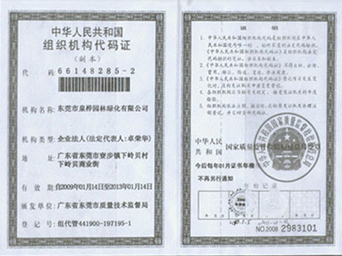 组织机构代码证