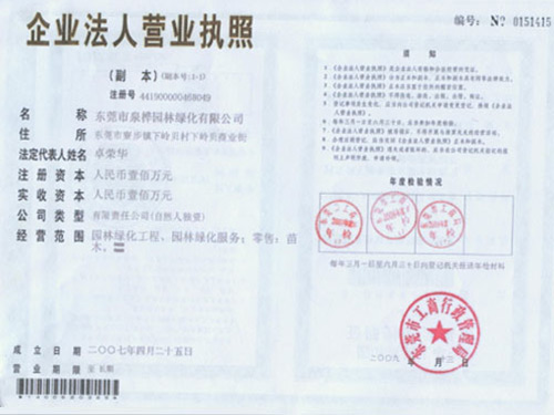营业执照