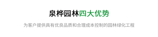 四大优势