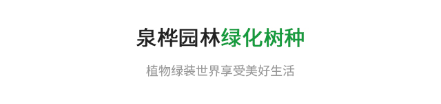 绿化树种