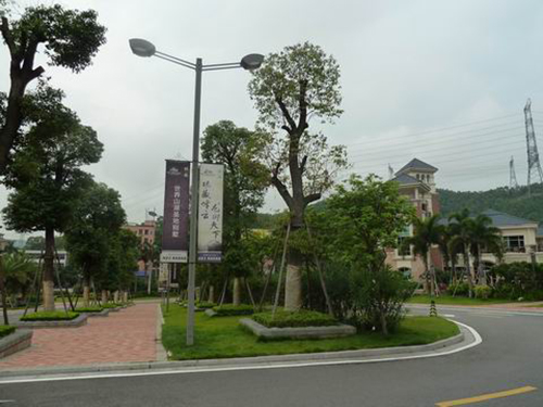 道路绿化工程