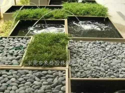 东莞绿化工程养护