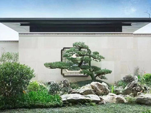 东莞绿化公司