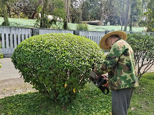 树木修剪/草地修剪/...