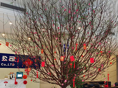 东莞年宵花/年桔桃花...